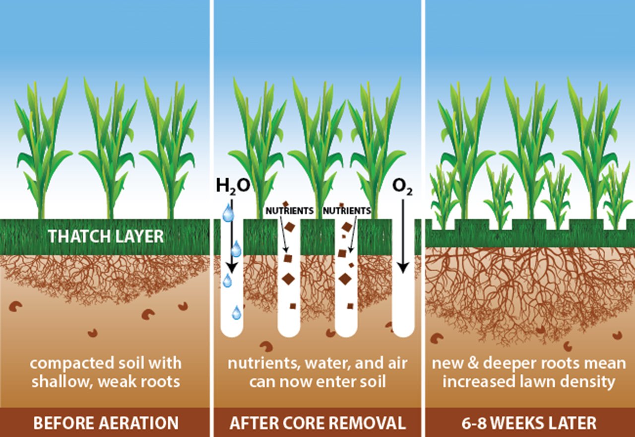 Core Aeration